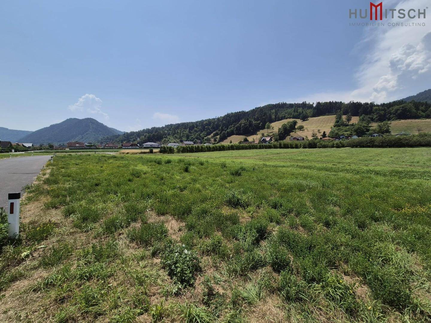 Weitläufiges grünes Feld mit Blick auf bewaldete Hügel und Berge unter blauem Himmel.