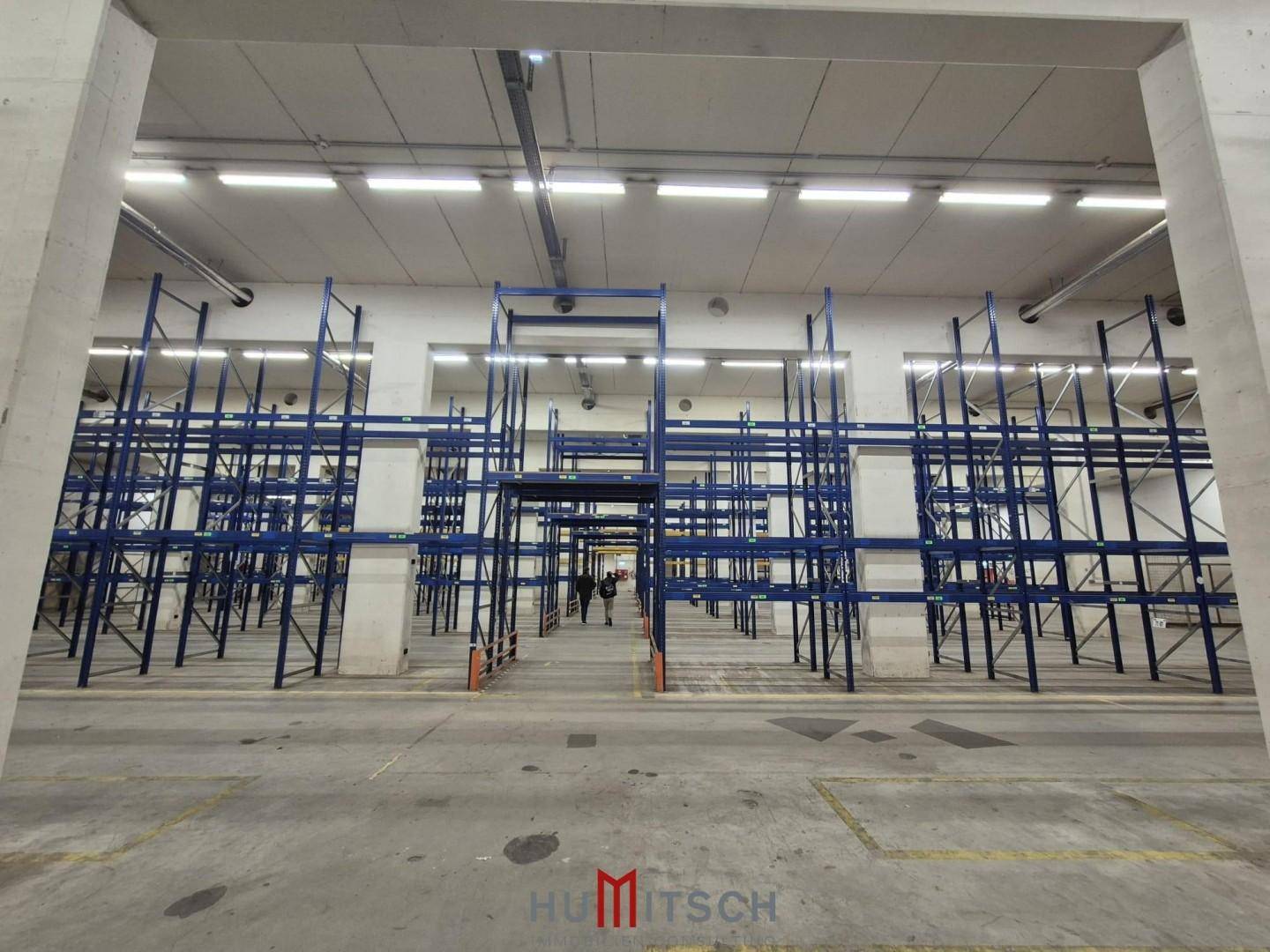 Große Lagerhalle mit blauen Regalsystemen und Betonboden, gut beleuchtet.