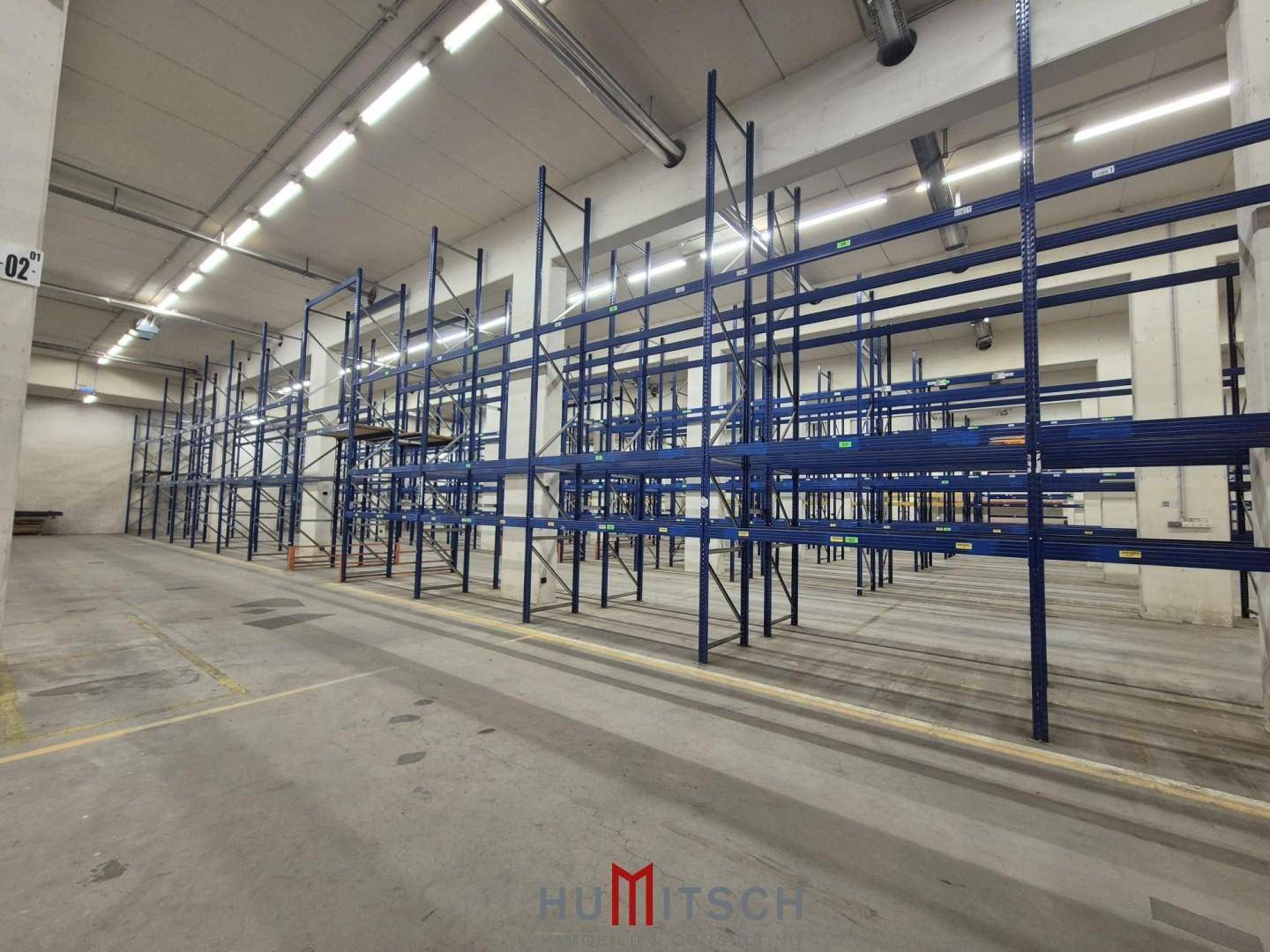 Lagerhalle mit langen Reihen von blauen Regalsystemen und industrieller Beleuchtung.