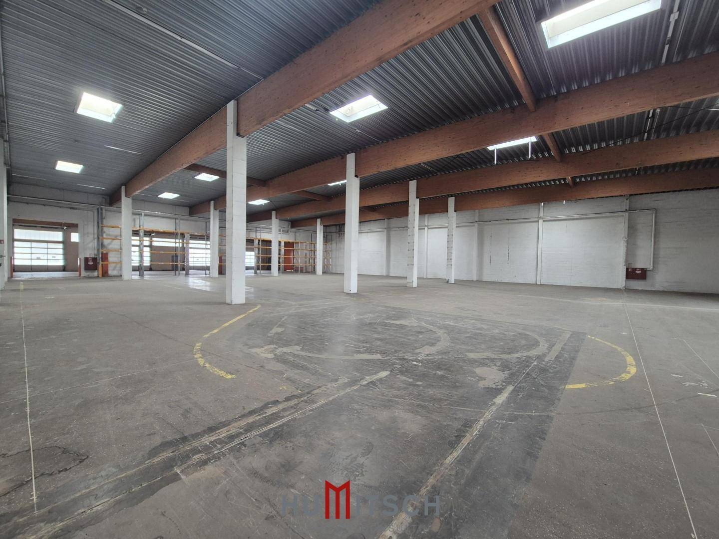 Leere Lagerhalle mit Betonboden, Holzbalken und Oberlichtern, bereit zur Nutzung.