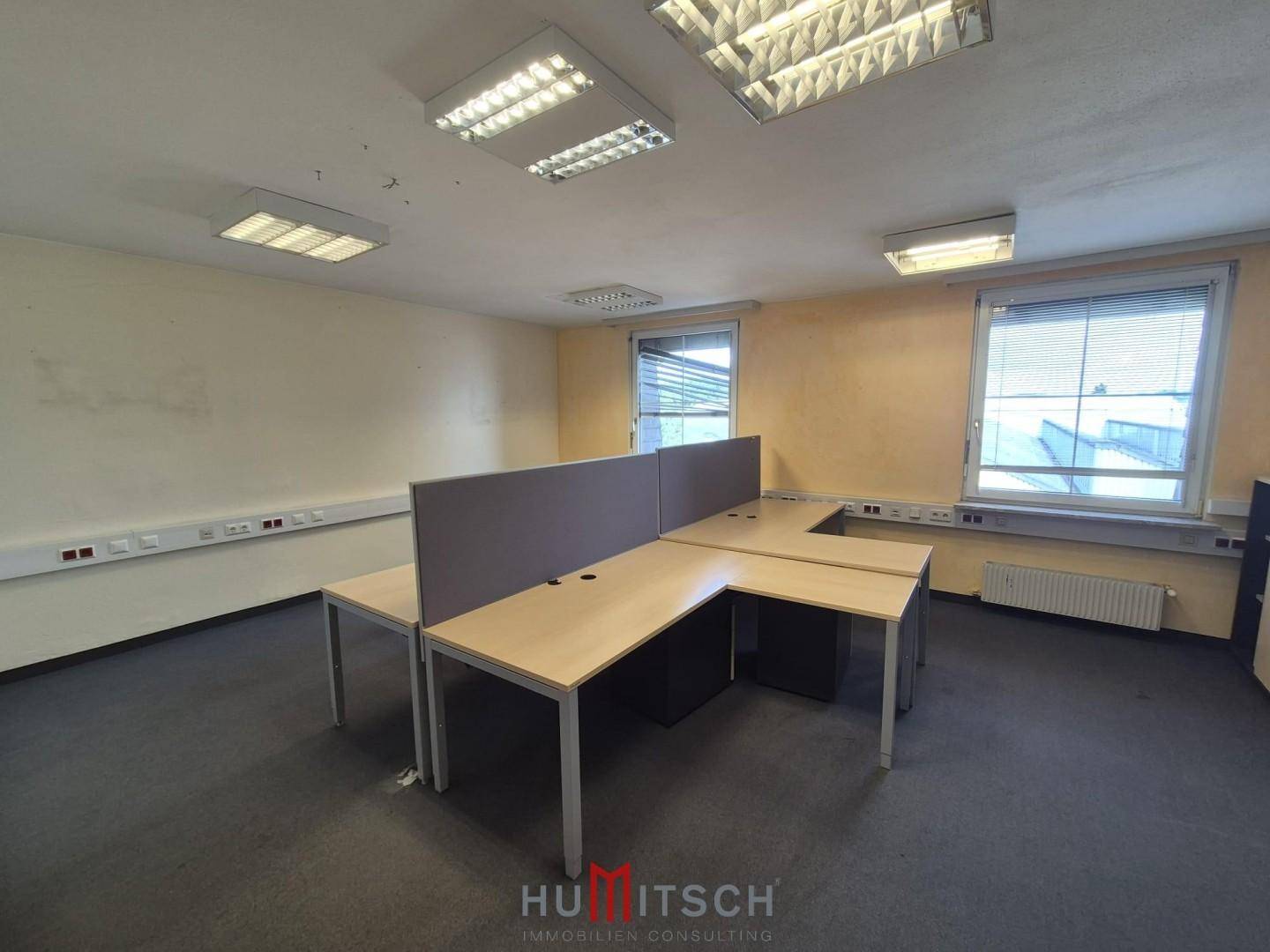 Geräumiges Büro mit Teppichboden, mehreren Arbeitsplätzen und gelblichen Wänden.