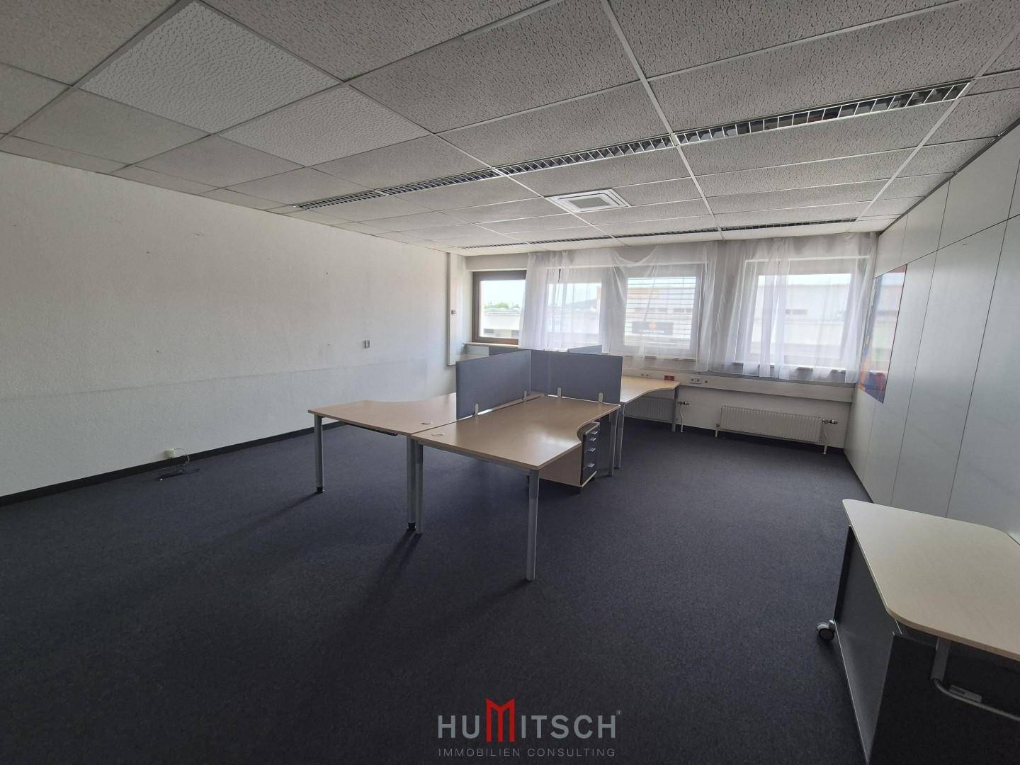 Geräumiges Büro mit Teppichboden, abgehängter Decke und mehreren Arbeitsplätzen am Fenster mit natürlichem Licht.