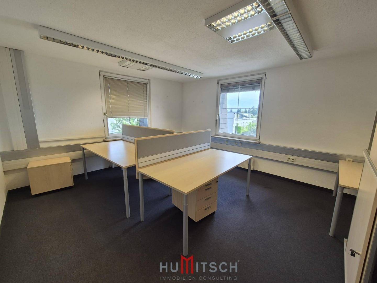 Helles Büro mit Teppichboden, zwei Fenstern und mehreren Arbeitsplätzen mit Trennwänden.
