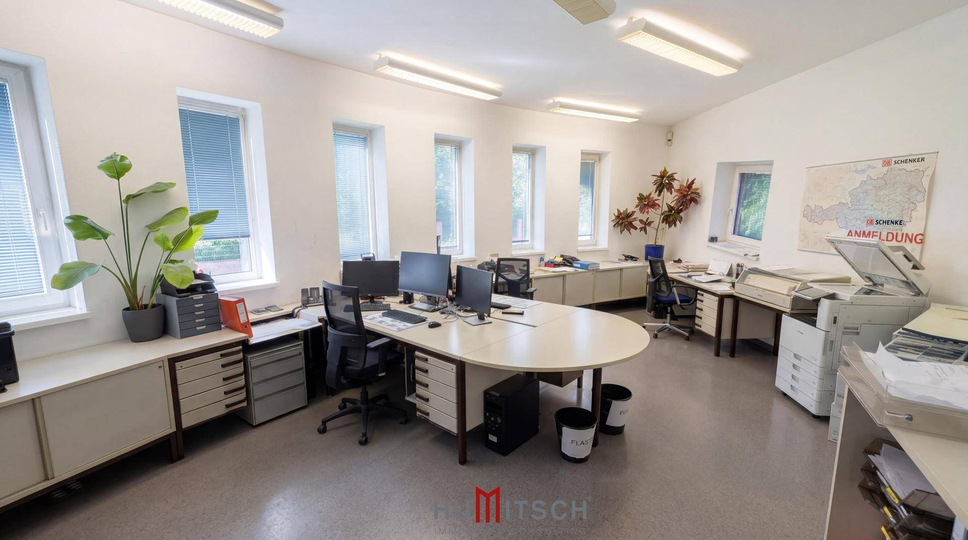 Großraumbüro mit mehreren Arbeitsplätzen, Pflanzen und viel Tageslicht durch die Fenster.