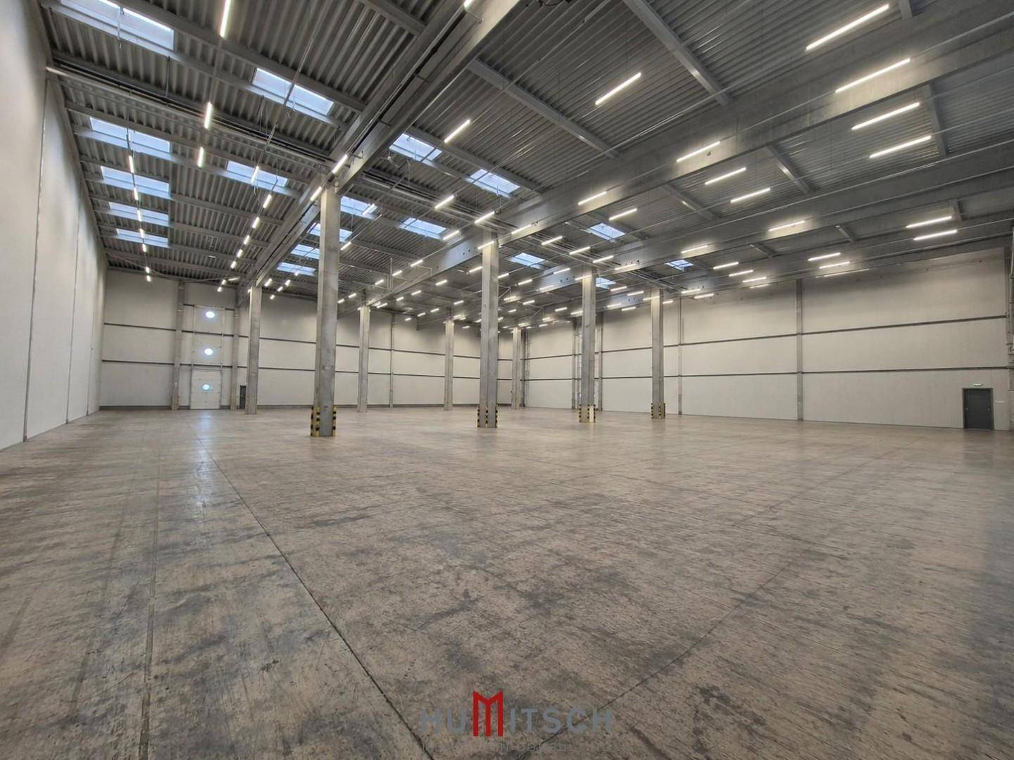 Geräumige, leere Lagerhalle mit vielen Oberlichtern und hohen Säulen, ideal für Logistik.