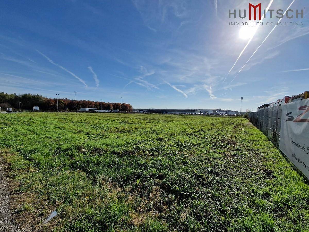 Sonniges Baugrundstück mit weitläufiger Grünfläche und angrenzenden Gewerbebauten unter blauem Himmel.