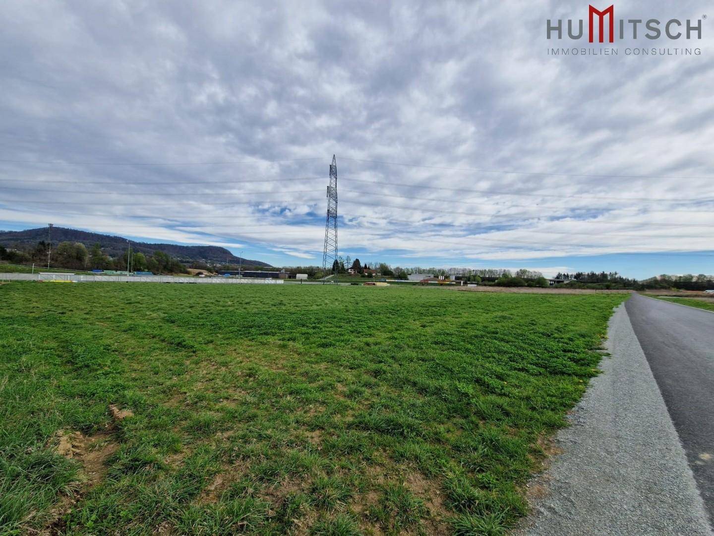 Weitläufiges grünes Feld mit einer Straße, im Hintergrund ein großer Strommast und bewaldete Hügel.