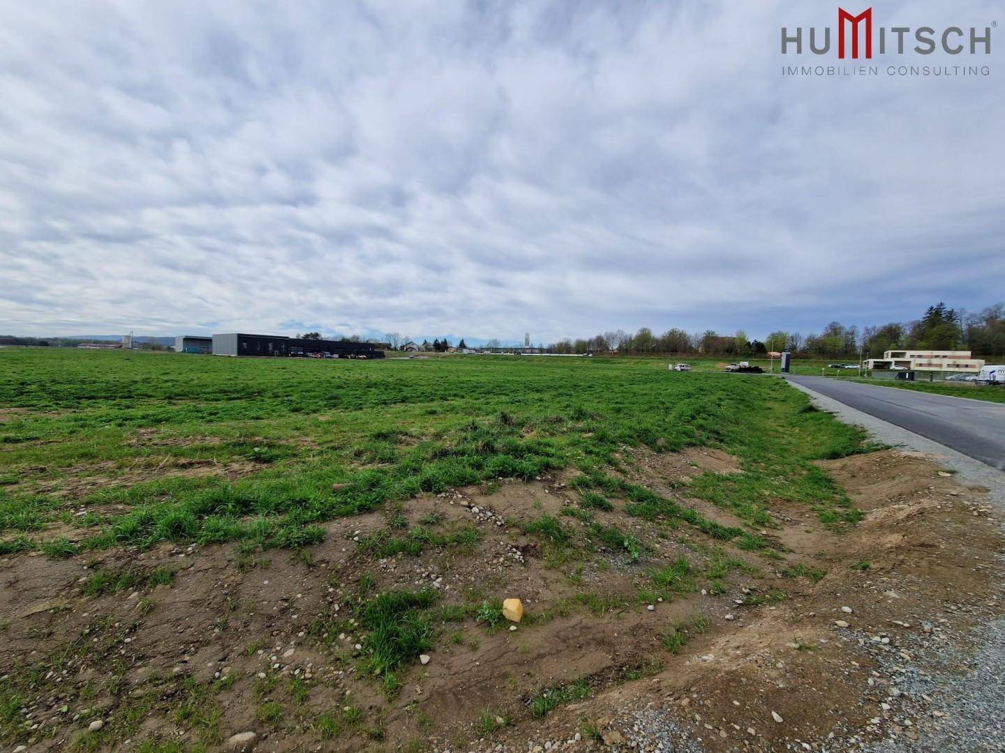 Offenes Feld mit grüner Vegetation und einem Weg, der zu entfernten Gebäuden führt.