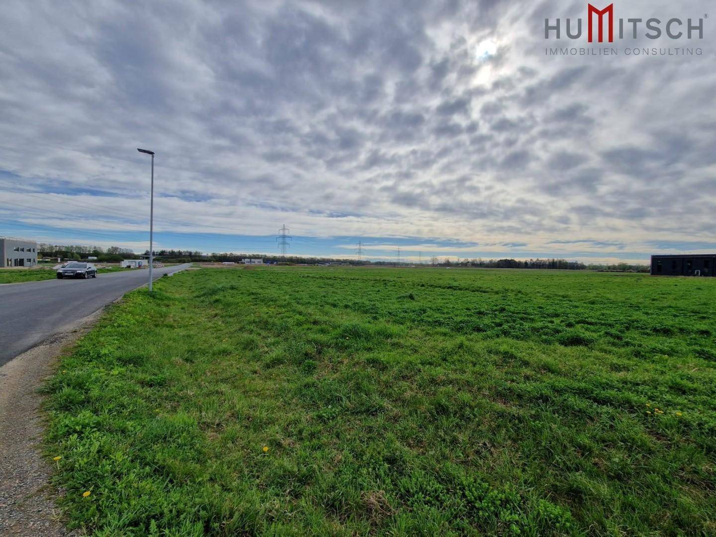 Offenes Feld mit grüner Wiese, einer Straße und einem Laternenpfahl unter bewölktem Himmel.