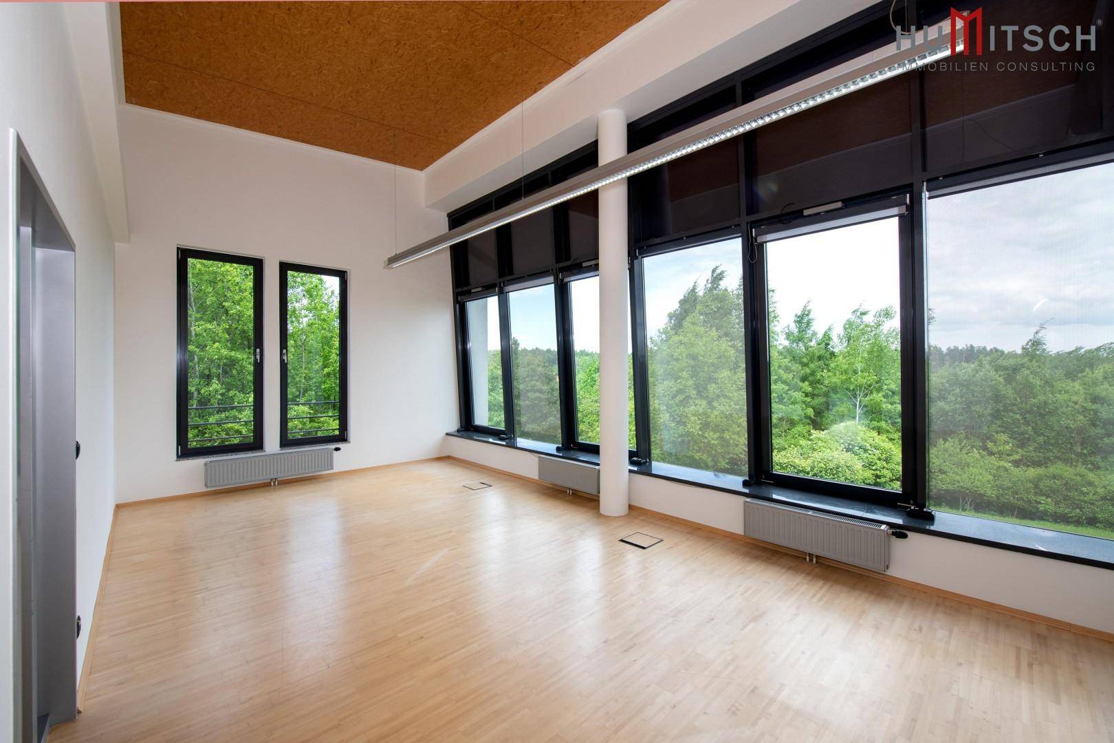 Geräumiges Büro mit Holzboden, großen Fenstern und Blick ins Grüne, bereit zur individuellen Gestaltung.