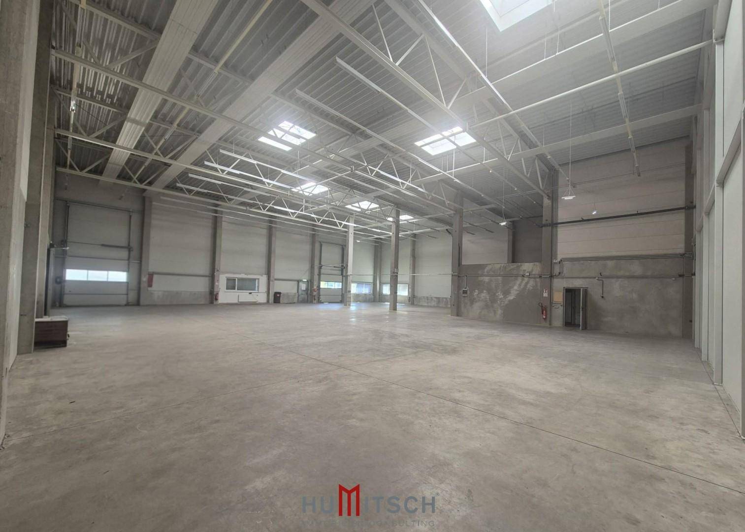 Geräumige Lagerhalle mit mehreren Rolltoren, Betonboden und sichtbarer Stahlkonstruktion der Decke.