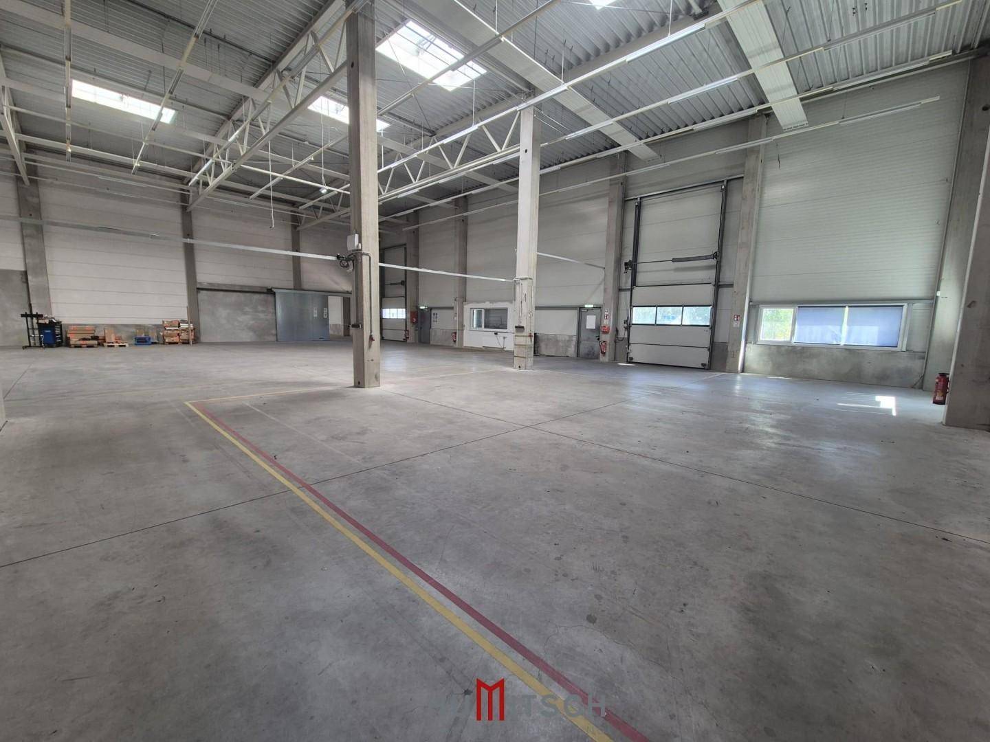 Große, helle Lagerhalle mit Betonstützen, Rolltoren und Oberlichtern, ideal für Logistik.