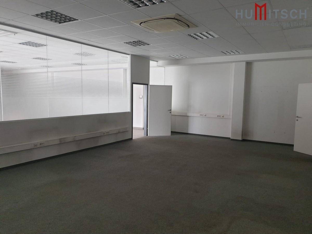 Moderner Bürobereich mit Teppichboden, Glaswänden und abgehängter Decke mit Beleuchtung.