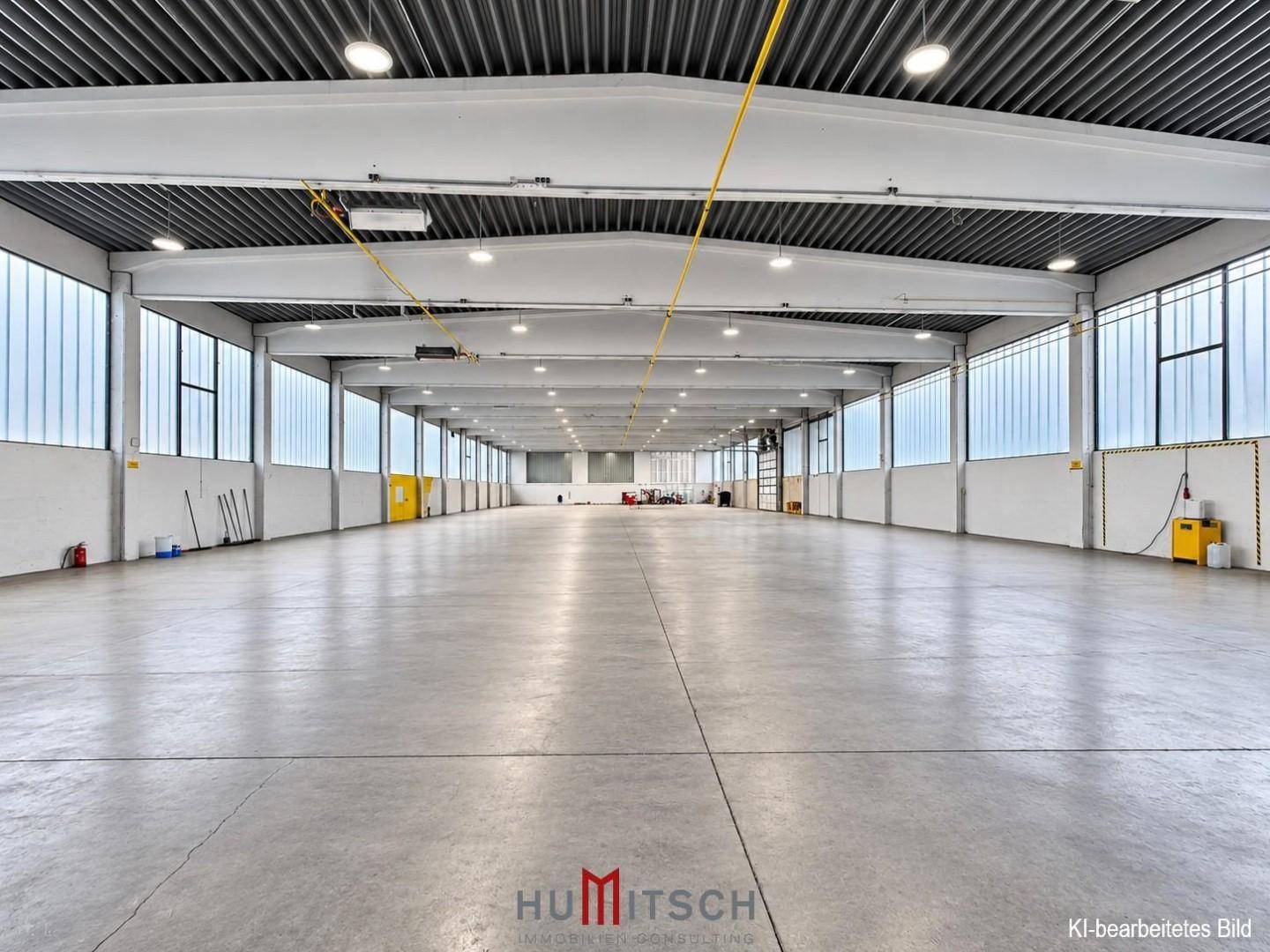 Weitläufige Industriehalle mit hohen Decken, glattem Betonboden und durchgehenden Fensterbändern.