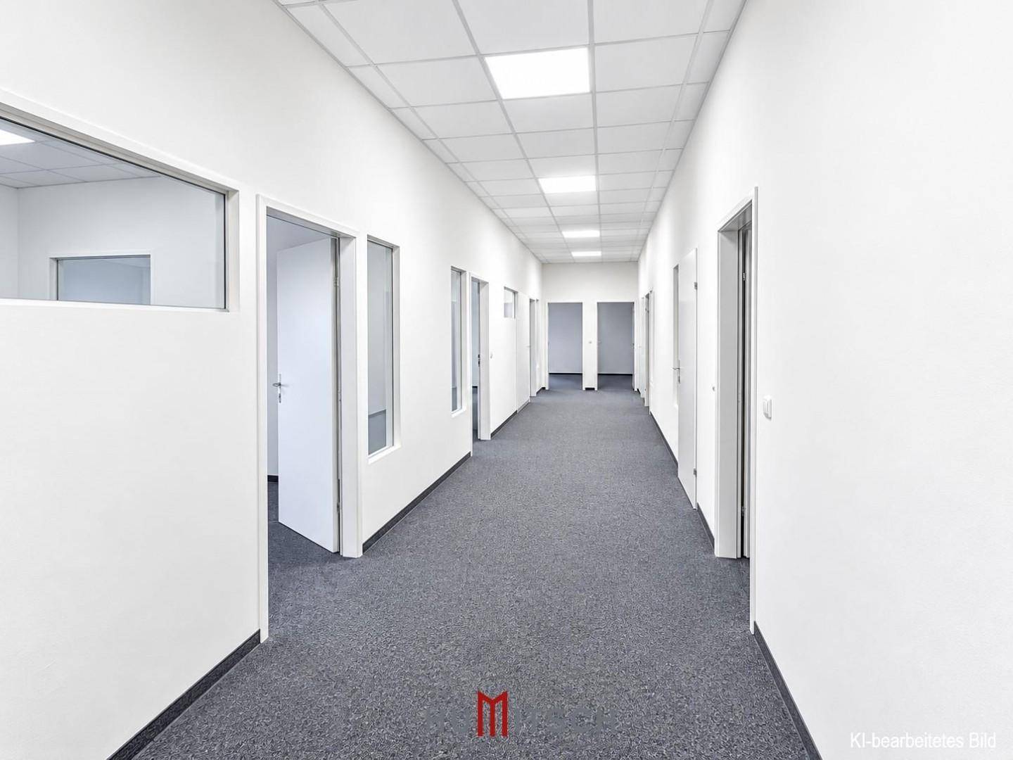 Moderner Flur mit Teppichboden, weißen Wänden und Glastüren zu den Büros.