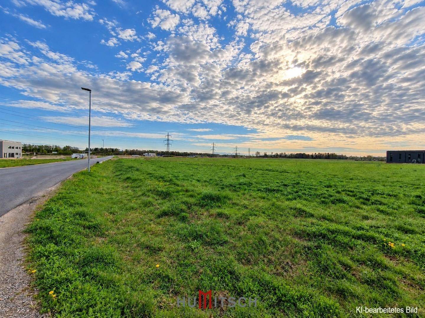 Offenes Feld mit grüner Wiese, einer Straße und Stromleitungen am Horizont unter blauem Himmel.
