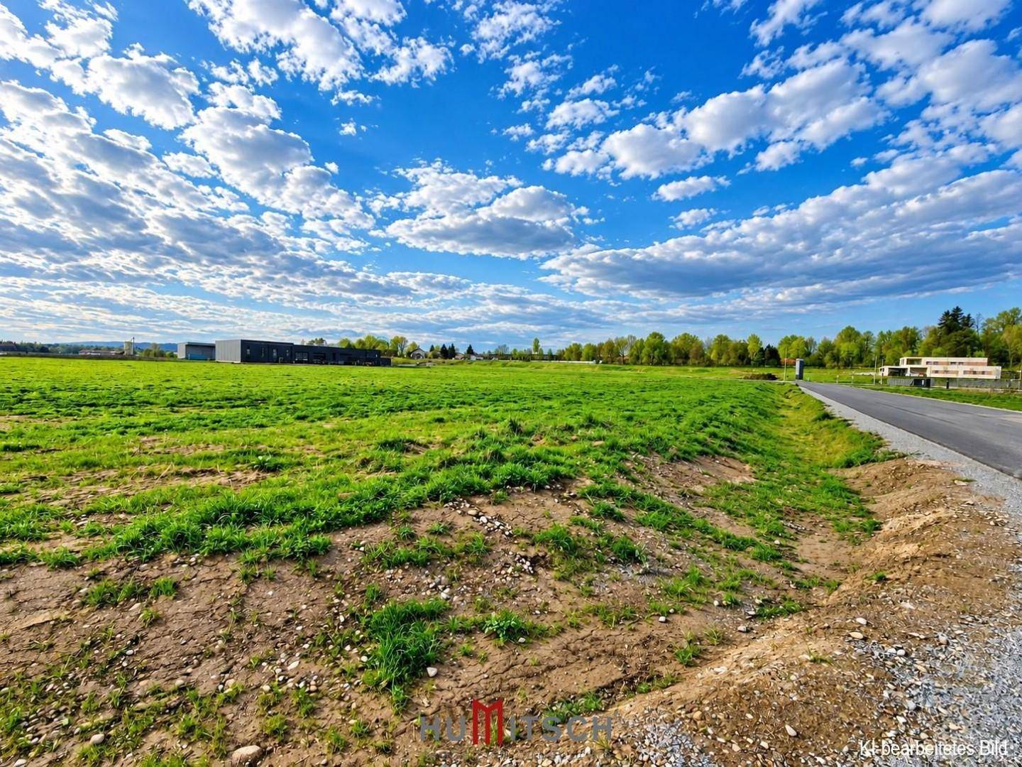 Grüne Wiesenfläche mit einem Feldweg und Bäumen sowie Gebäuden am Horizont unter blauem Himmel.