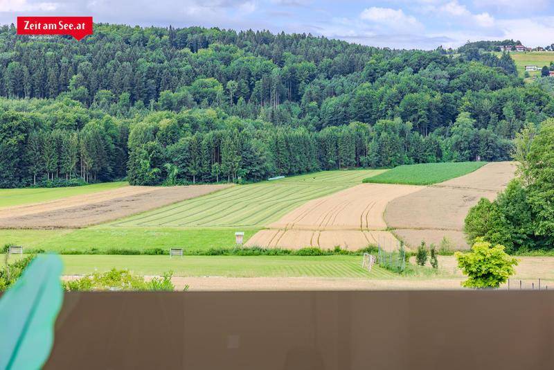 Weitblick