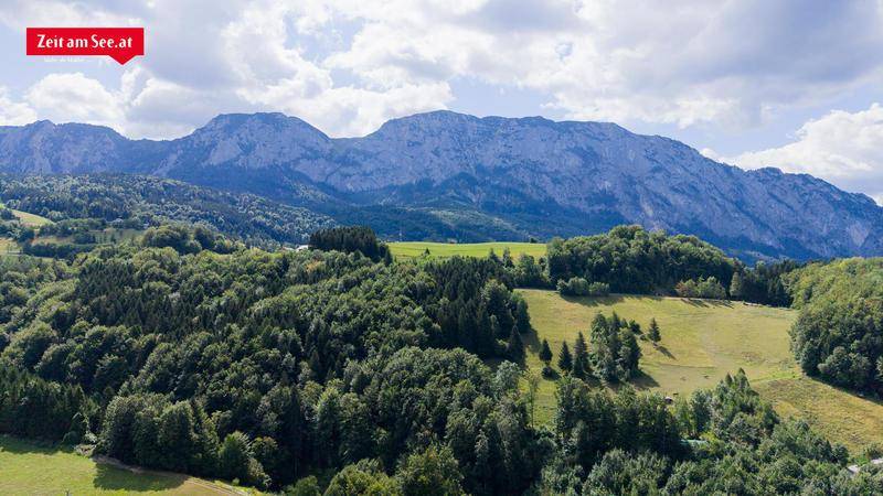 Weitläufige Berglandschaft mit grünen Wäldern und Wiesen unter einem bewölkten Himmel.