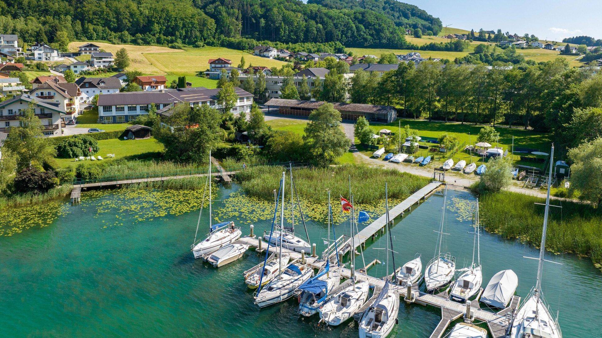 Luftaufnahme eines Yachthafens mit zahlreichen Segelbooten und einer idyllischen grünen Landschaft im Hintergrund.