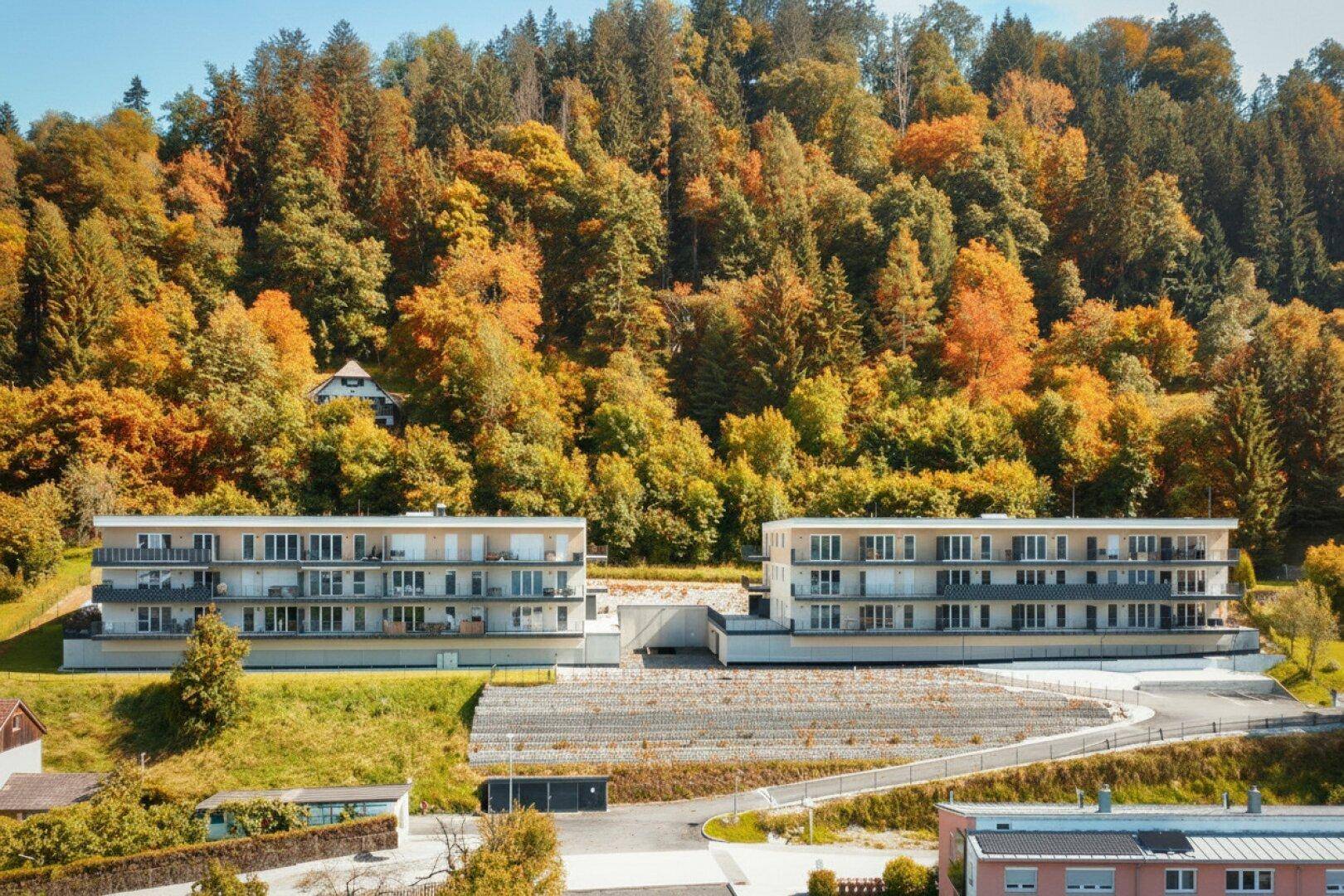 Luftaufnahme der Apartmentgebäude im Herbst, umgeben von farbenprächtigen Bäumen.