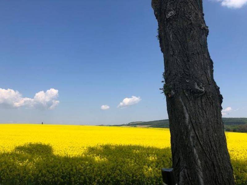 Rund um das Grundstück