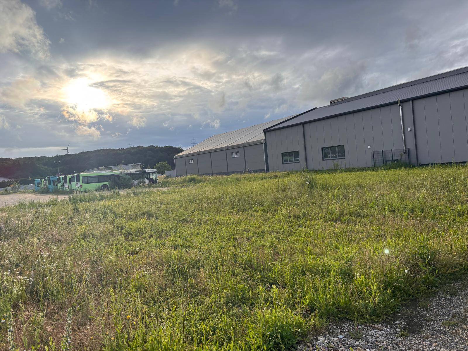 Grasbewachsenes Gelände mit Industriehallen und der Sonne, die durch die Wolken bricht, im Hintergrund Windräder.