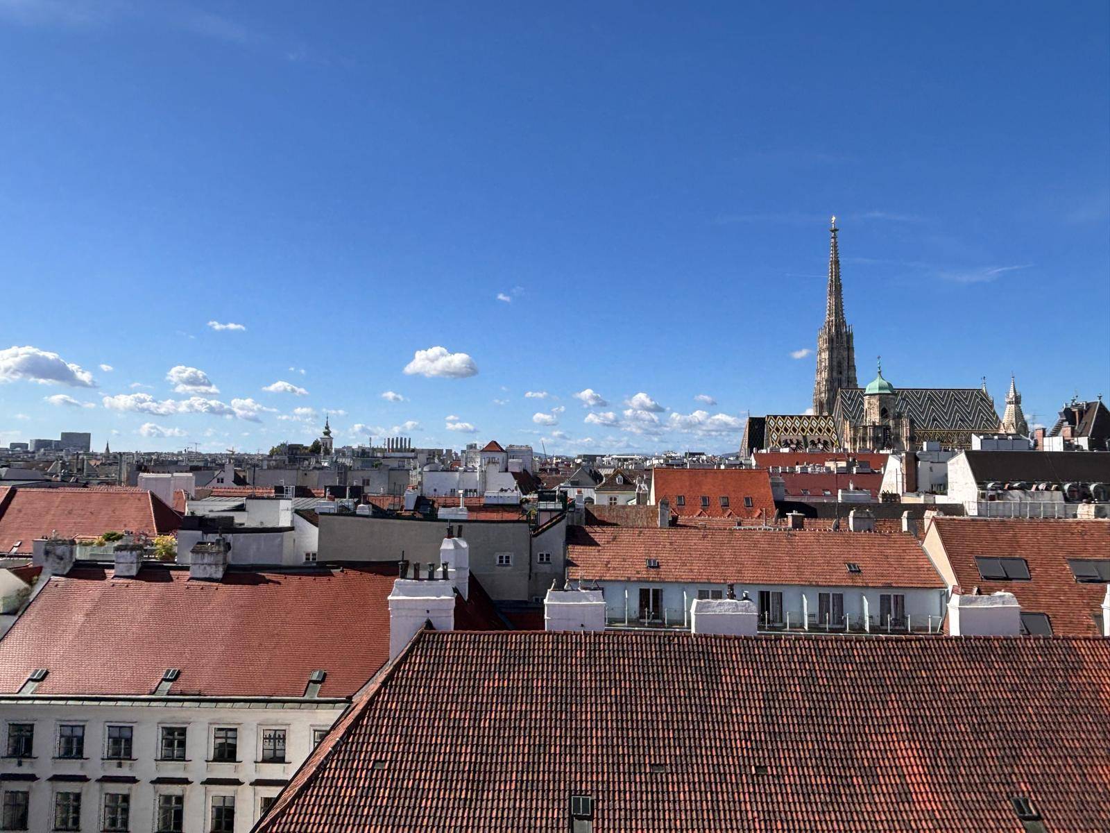 Weitläufiger Blick über die historischen Dächer der Stadt mit dem markanten Stephansdom.