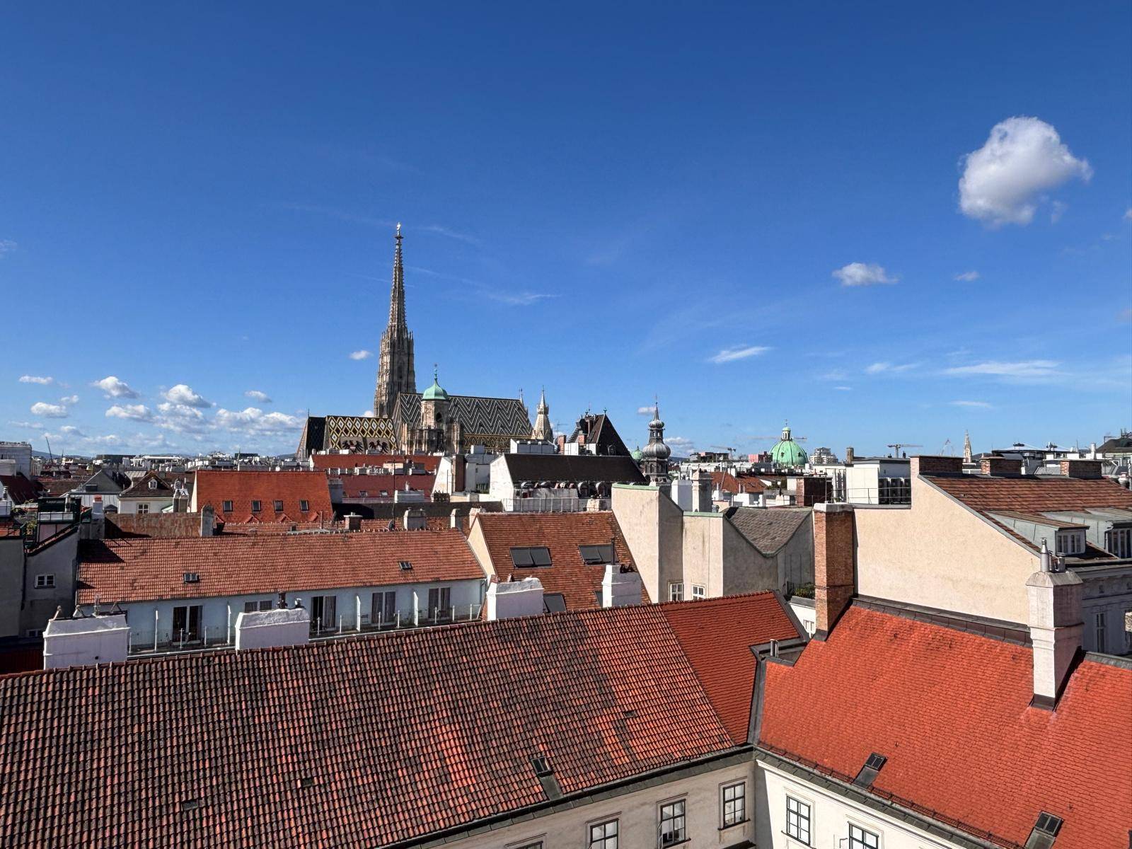 Panoramablick über die Dächer der Stadt mit dem Stephansdom unter blauem Himmel.