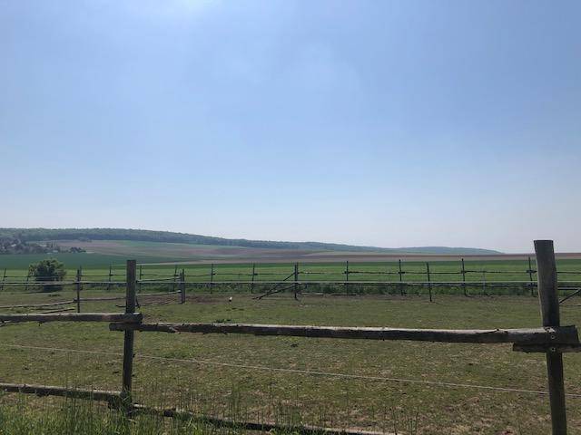 Weitläufige ländliche Landschaft mit grünen Feldern und bewaldeten Hügeln am Horizont.