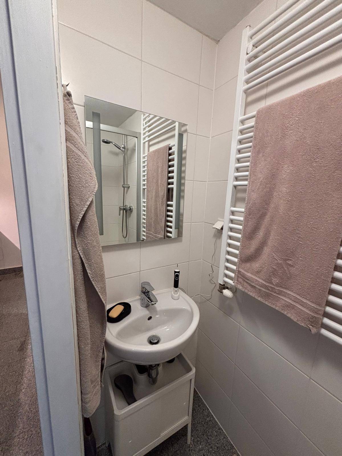 Kleines Badezimmer mit Waschbecken, Spiegel, beheiztem Handtuchhalter und Duschkabine.