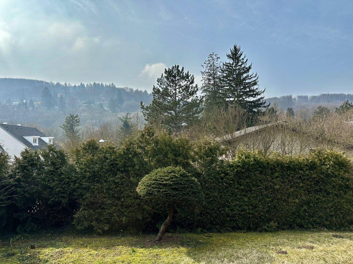 Gepflegter Gartenbereich mit verschiedenen Bäumen, Hecken und Blick auf die Umgebung.