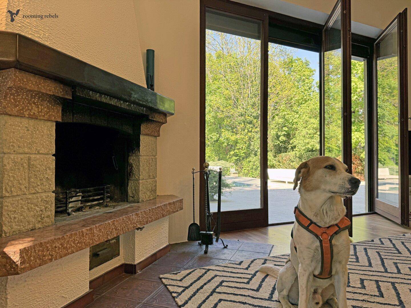 MARTHA ... DIE FAHNDUNG LÄUFT - VILLA ZU KAUFEN - Ansicht 3
