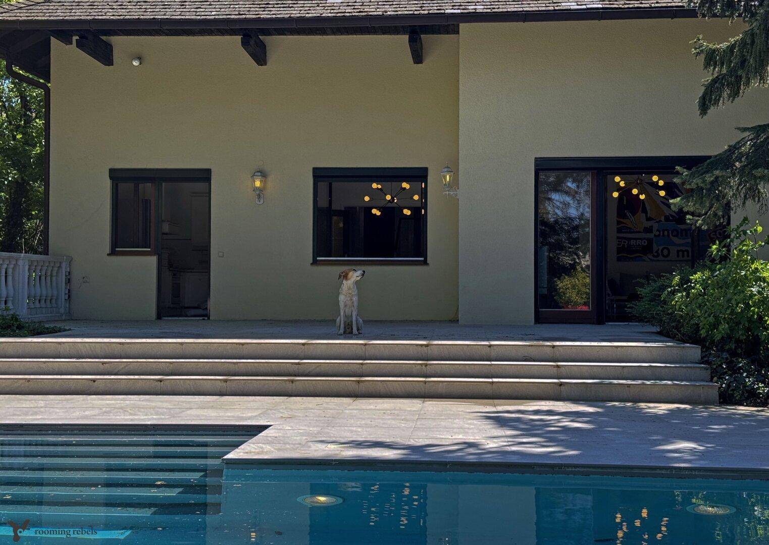 MARTHA ... DIE FAHNDUNG LÄUFT - VILLA ZU KAUFEN - Ansicht 4