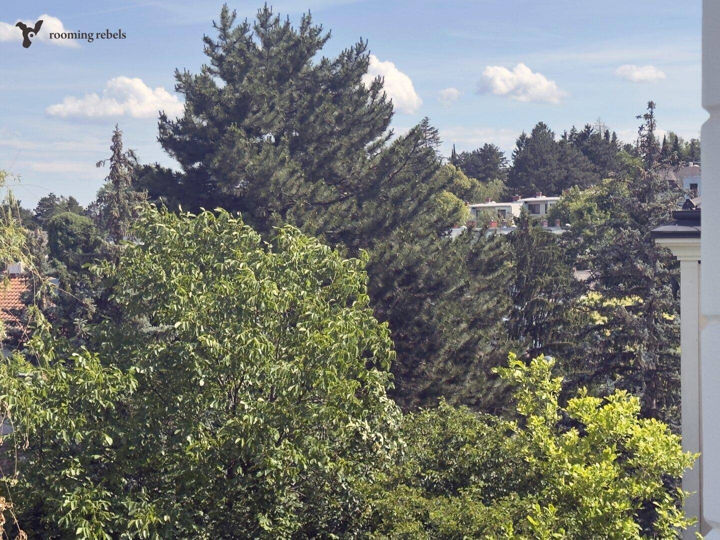 Panoramablick auf dichte Baumkronen und eine weite grüne Landschaft unter strahlend blauem Himmel.