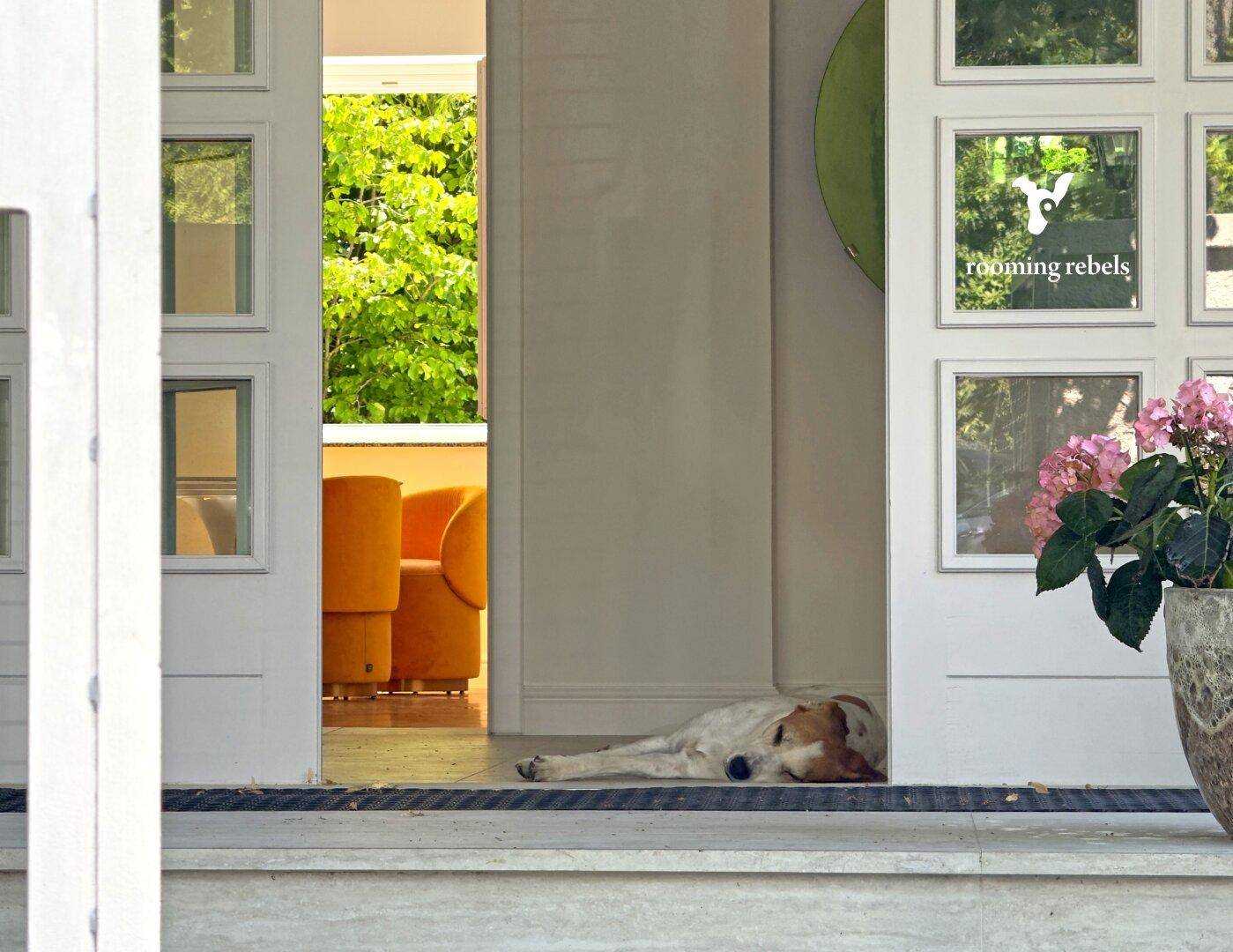 ICH WILL DEIN LEO SEIN - VILLA 10 ZIMMER- INDOORPOOL-SPA BEREICH UND GARTEN - Ansicht 3