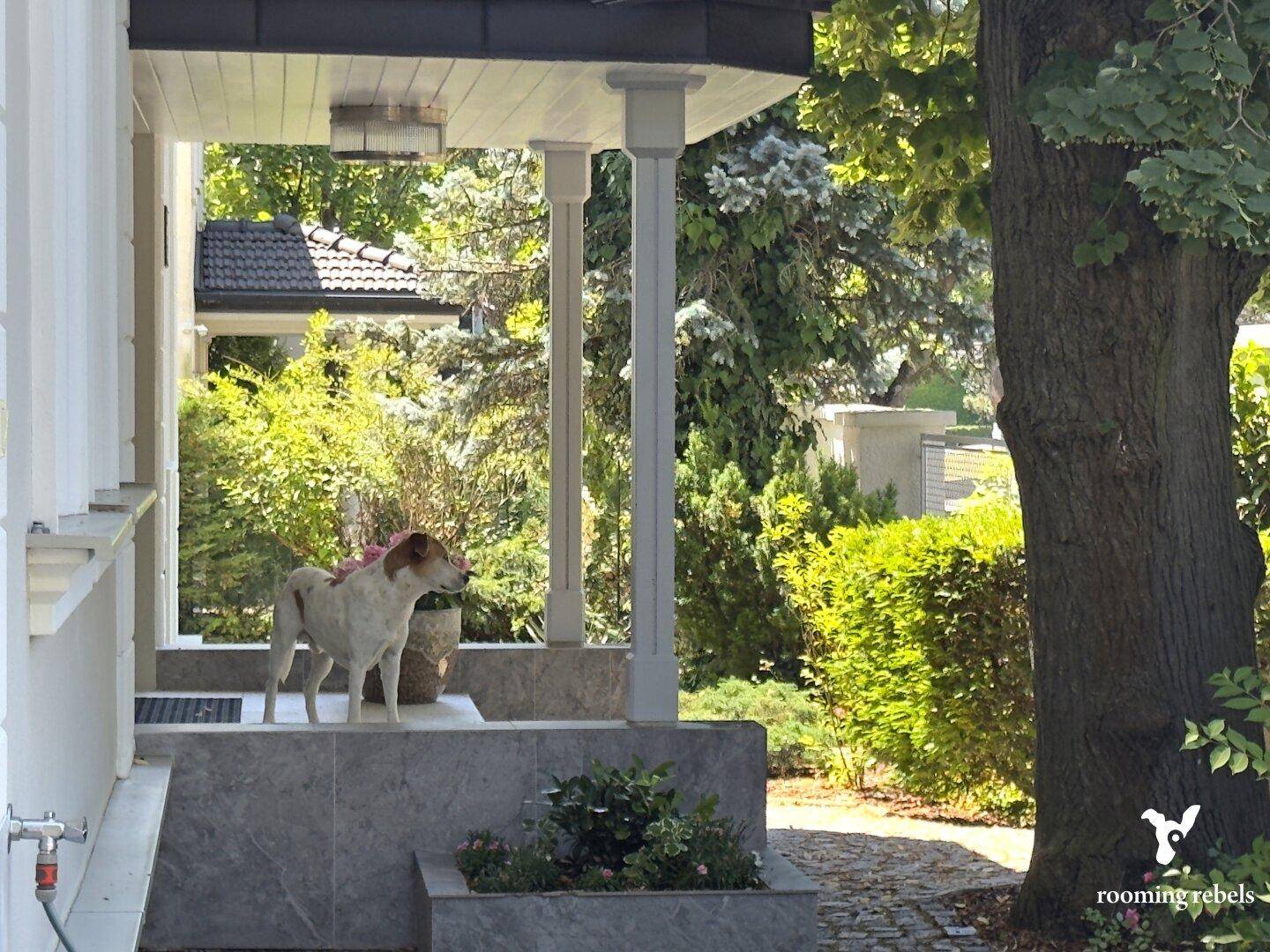 ICH WILL DEIN LEO SEIN - VILLA 10 ZIMMER- INDOORPOOL-SPA BEREICH UND GARTEN - Ansicht 2