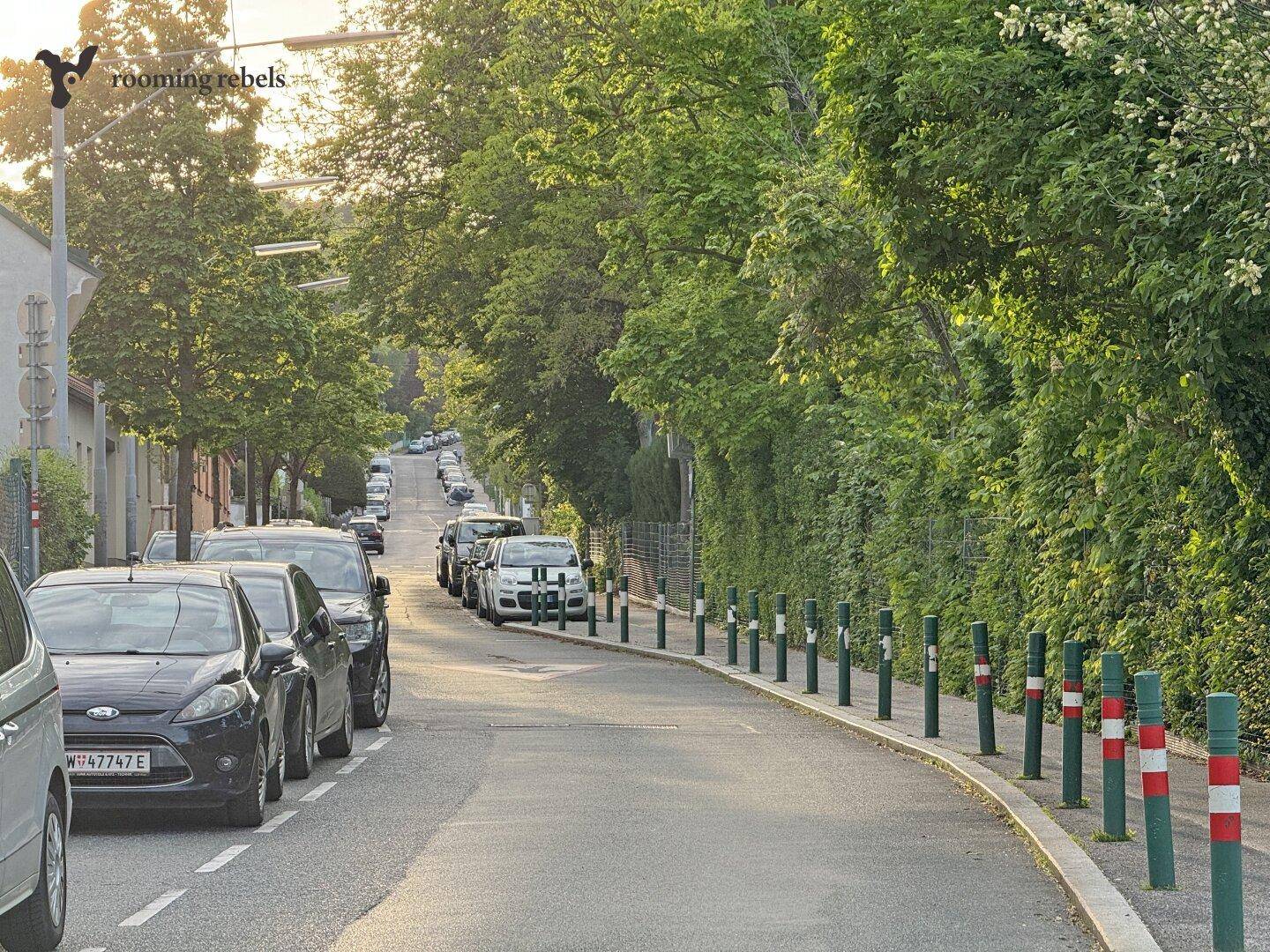 Ruhige Wohnstraße mit parkenden Autos und grüner Bepflanzung entlang des Bürgersteigs in der Sonne.