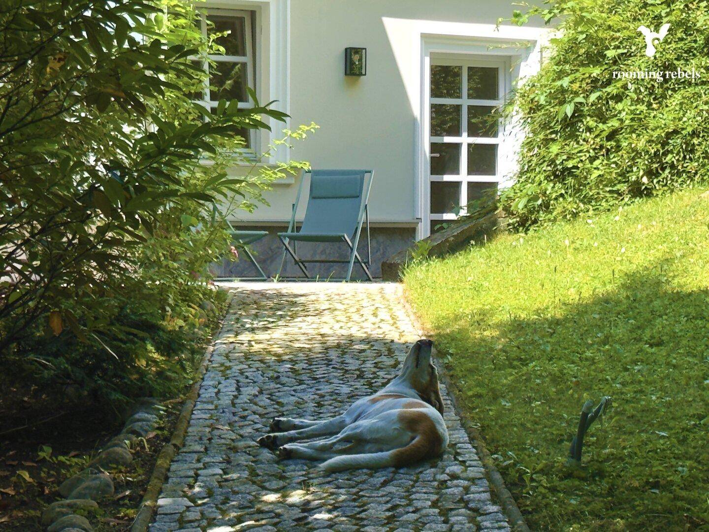 Idyllischer Gartenweg aus Kopfsteinpflaster neben einer Hausfassade, umgeben von üppigem Grün und einem Liegestuhl.