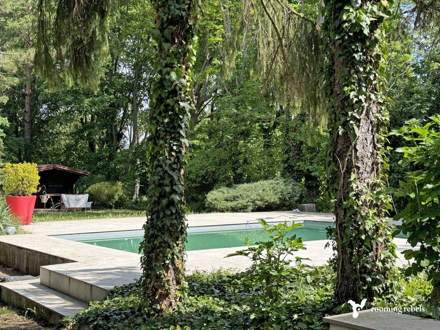 Idyllischer Poolbereich umgeben von hohen Bäumen und dichtem Grün, mit Sitzgelegenheiten im Hintergrund.