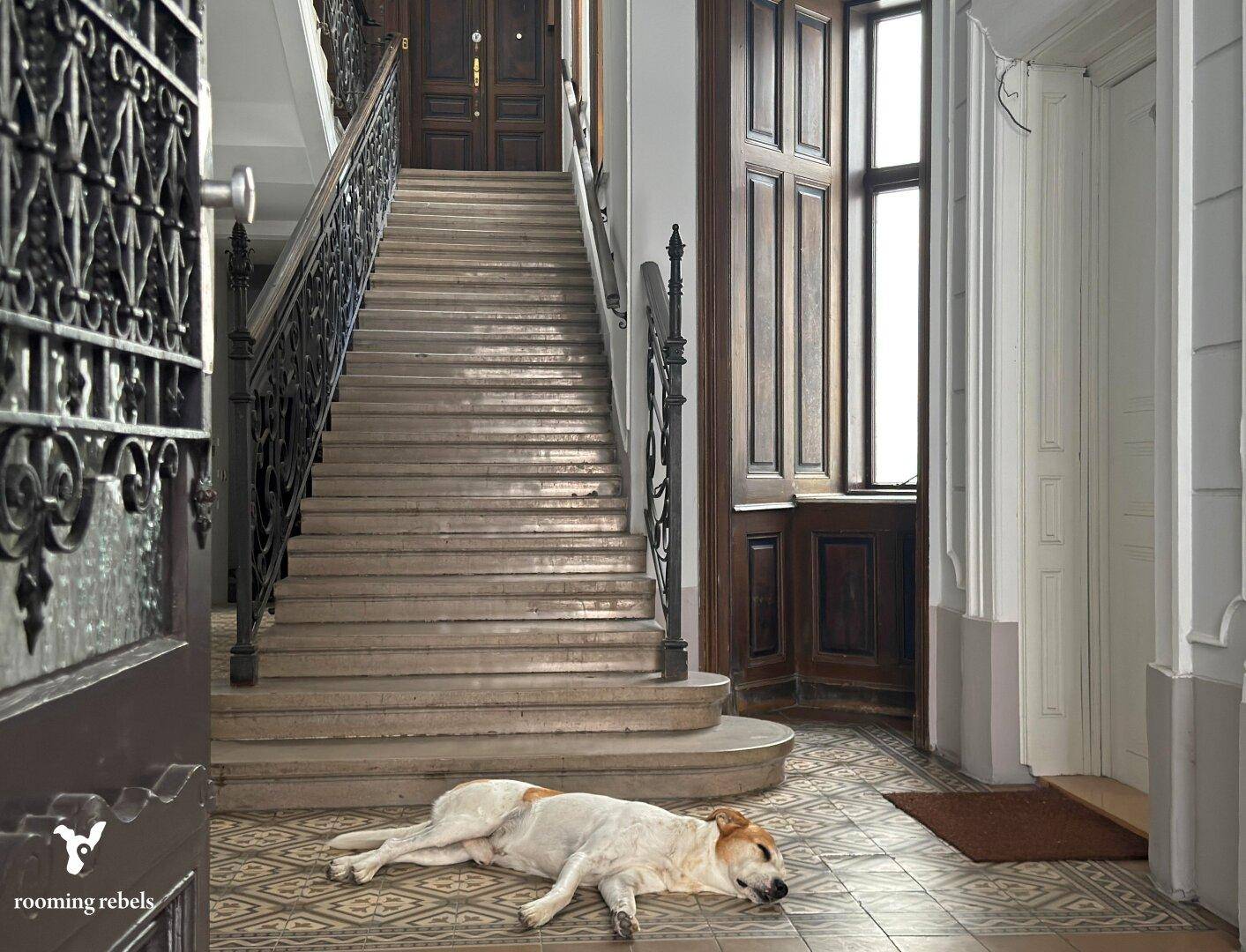Historischer Eingangsbereich mit einer beeindruckenden Treppe, schmiedeeisernem Geländer und gemusterten Fliesen.