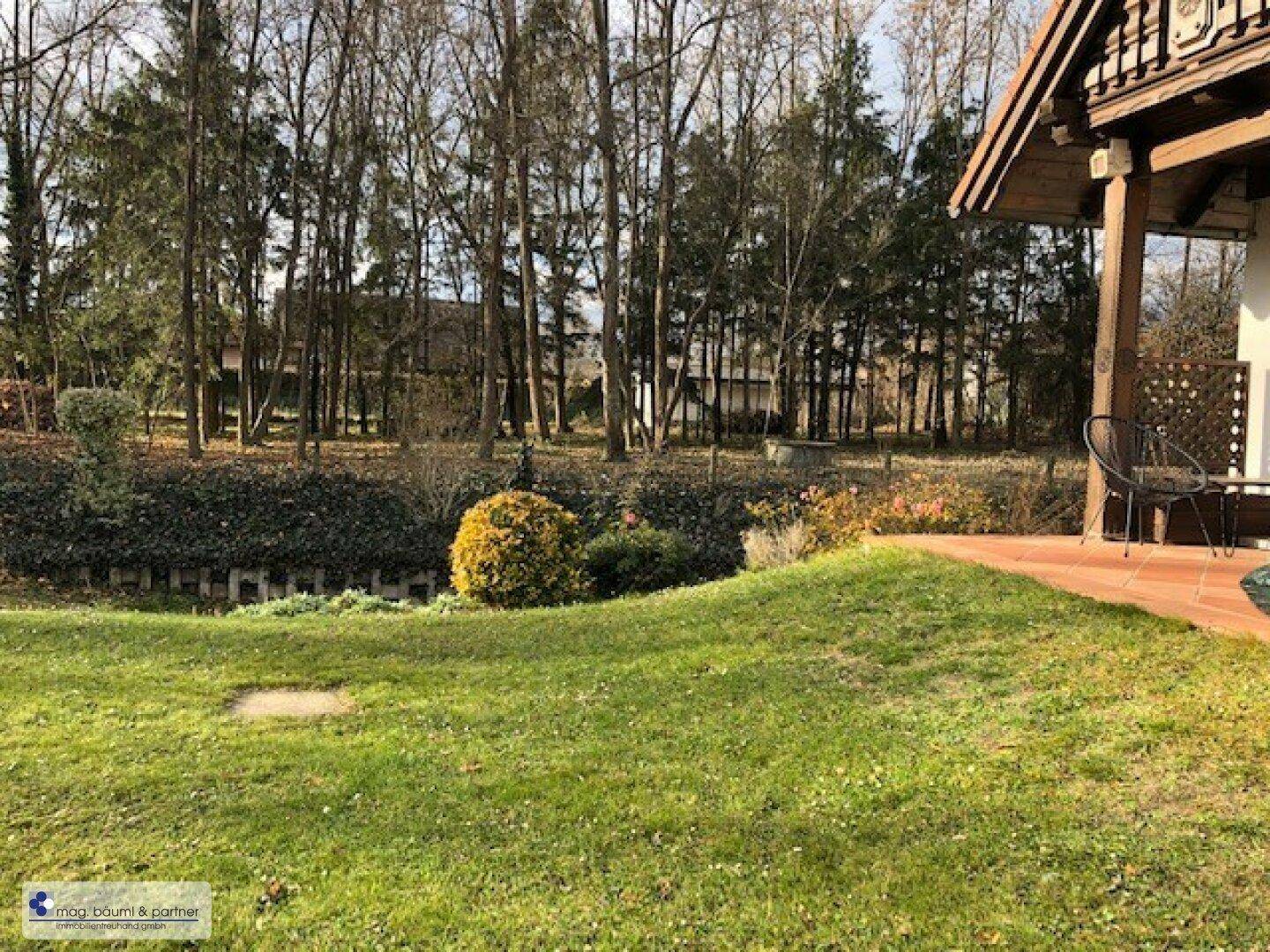 Blick in den Garten