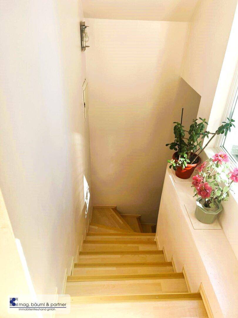 Helle Holztreppe mit Pflanzen am Fenster, die für eine freundliche und natürliche Atmosphäre sorgt.