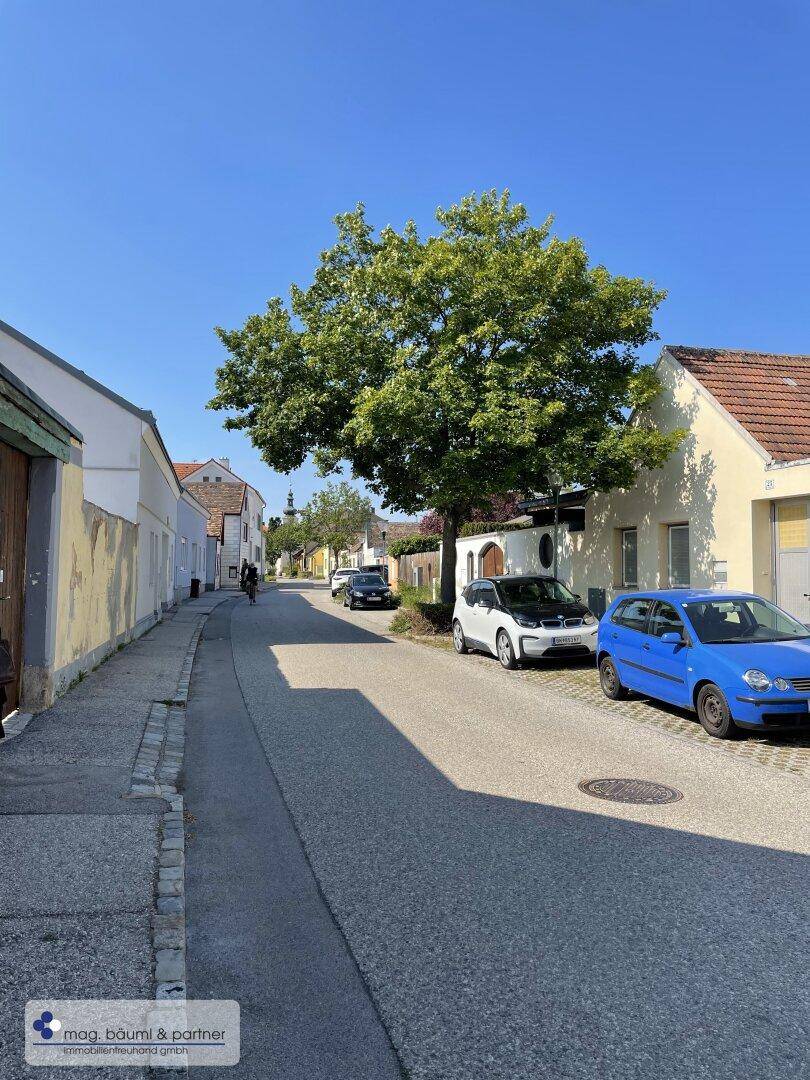 Sonniger Blick auf eine Wohnstraße mit geparkten Autos und einem großen Baum.