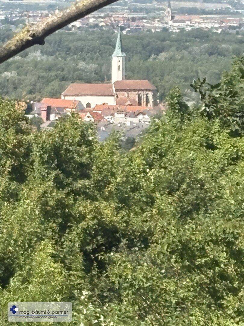 Historische Kirche mit spitzem Turm und umliegenden Häusern, umgeben von grünen Bäumen.