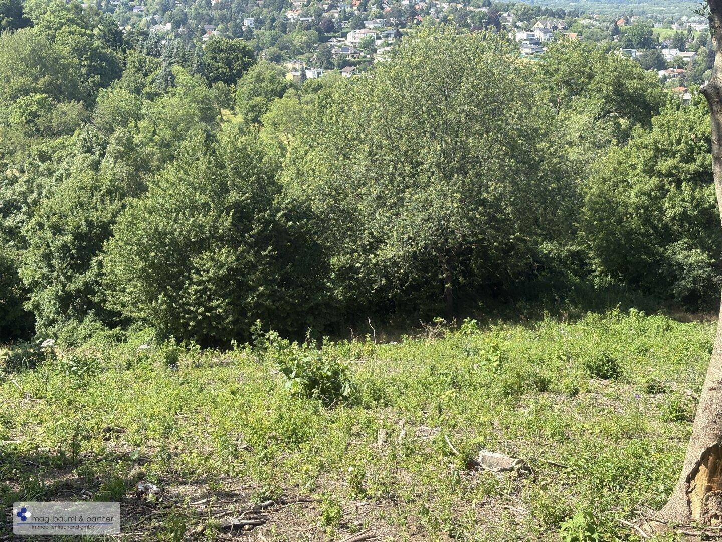 Blick über eine grüne, bewachsene Anhöhe mit einer Stadtkulisse im Hintergrund unter blauem Himmel.