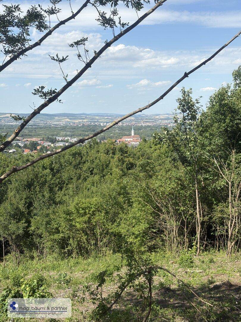 Weitläufiger Panoramablick über eine Stadt und grüne Landschaft unter einem bewölkten Himmel.