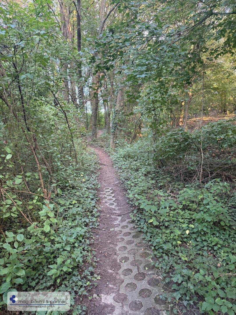 Schmaler Waldweg mit gemusterten Pflastersteinen, umgeben von dichtem Grün und hohen Bäumen.