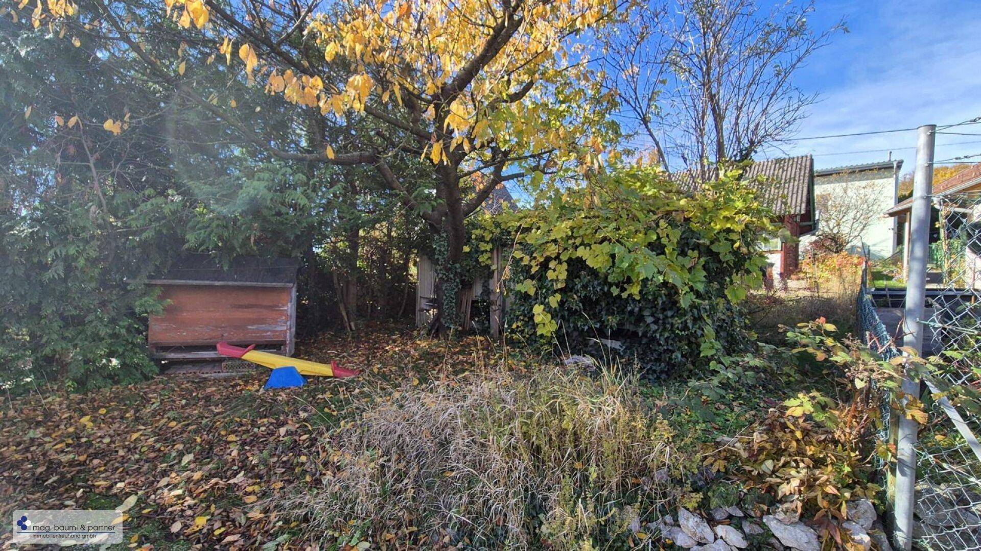 Naturbelassener Garten mit Spielgerät und einem kleinen Holzschuppen unter Bäumen.