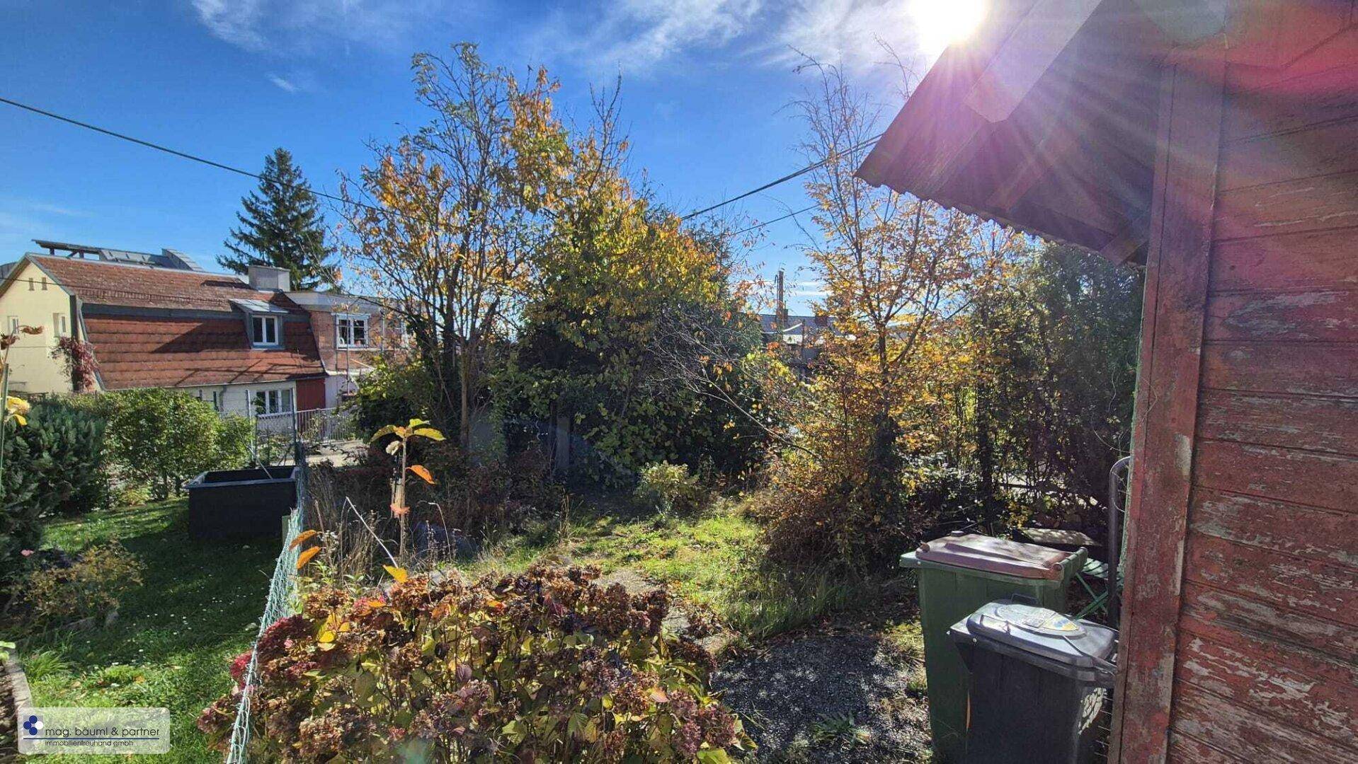 Sonniger Gartenbereich mit Bäumen, Sträuchern und einem kleinen Schuppen im Herbstlicht.